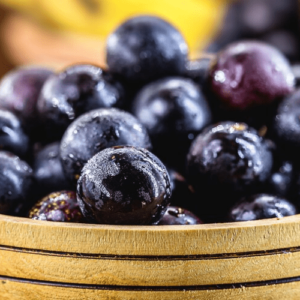 Jabuticaba: uma jóia brasileira!